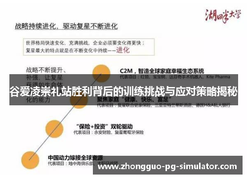 谷爱凌崇礼站胜利背后的训练挑战与应对策略揭秘