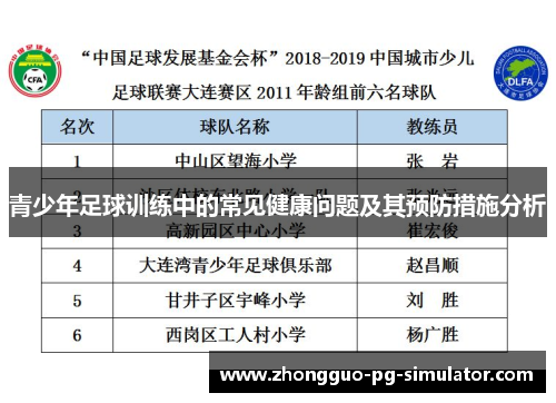 青少年足球训练中的常见健康问题及其预防措施分析