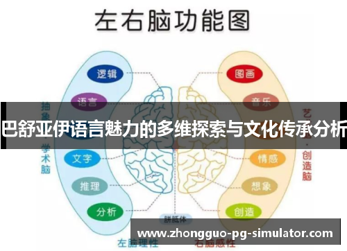 巴舒亚伊语言魅力的多维探索与文化传承分析