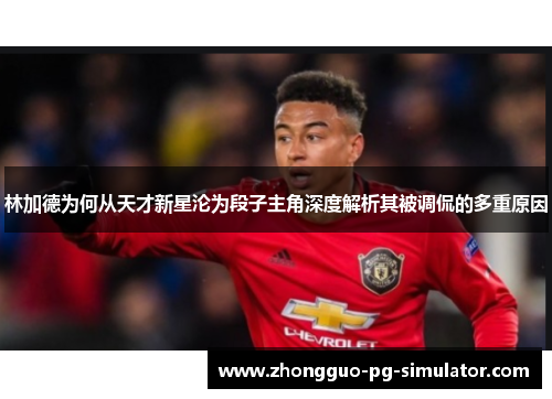 林加德为何从天才新星沦为段子主角深度解析其被调侃的多重原因