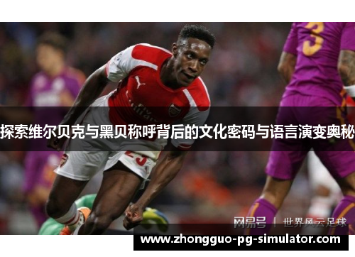 探索维尔贝克与黑贝称呼背后的文化密码与语言演变奥秘