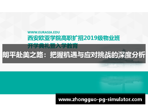 朗平赴美之路：把握机遇与应对挑战的深度分析