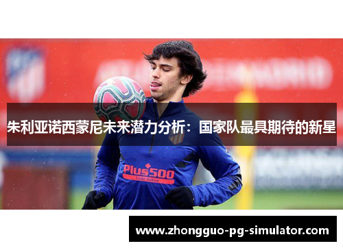 朱利亚诺西蒙尼未来潜力分析：国家队最具期待的新星